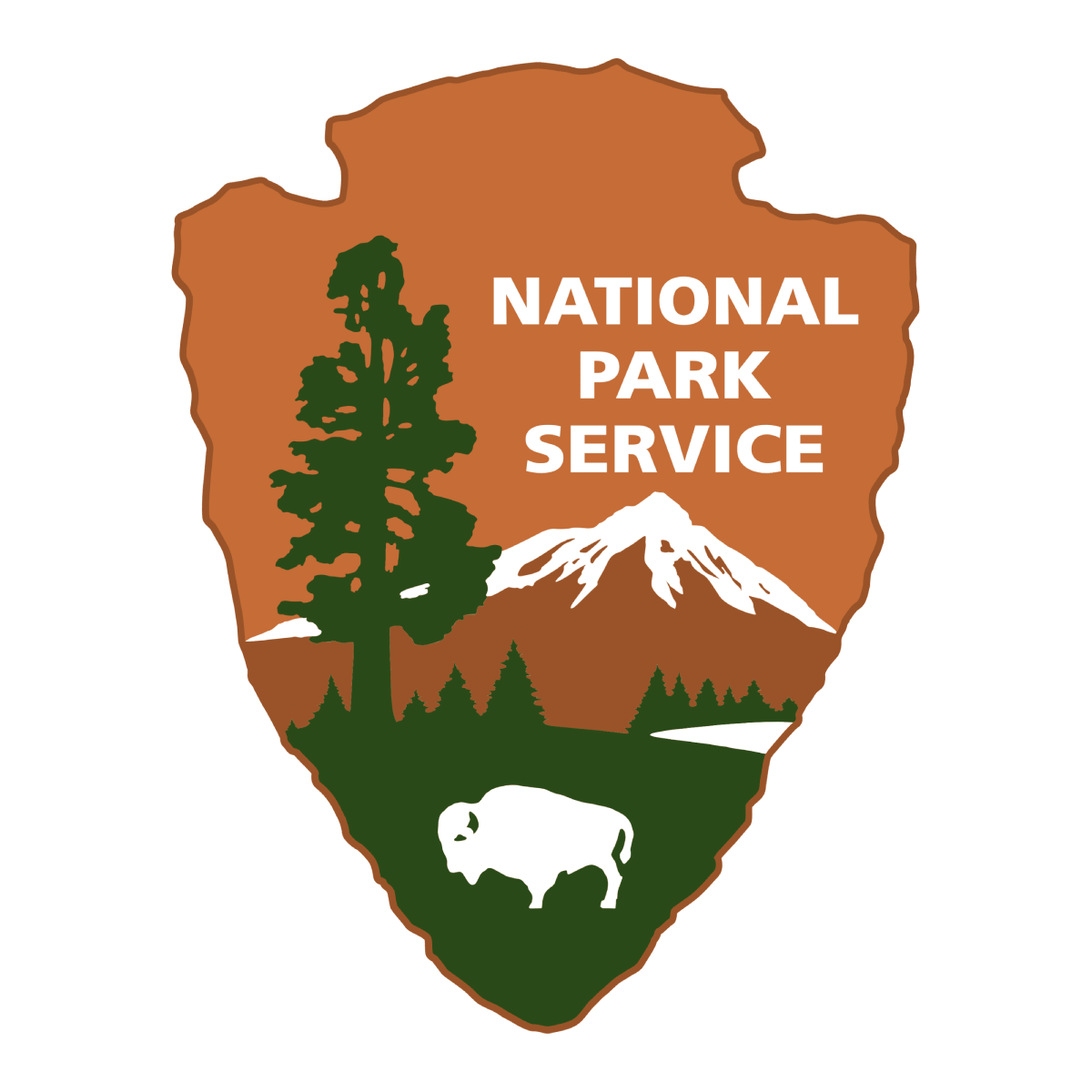 NPS